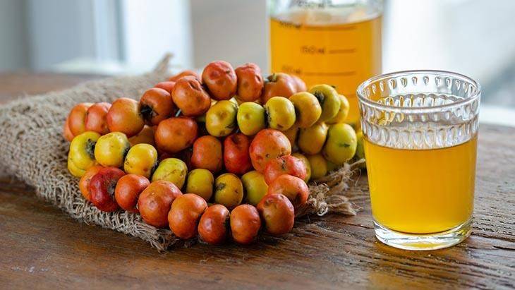 Doğada kendiliğinden yetişiyor, yiyen şifa buluyor 6